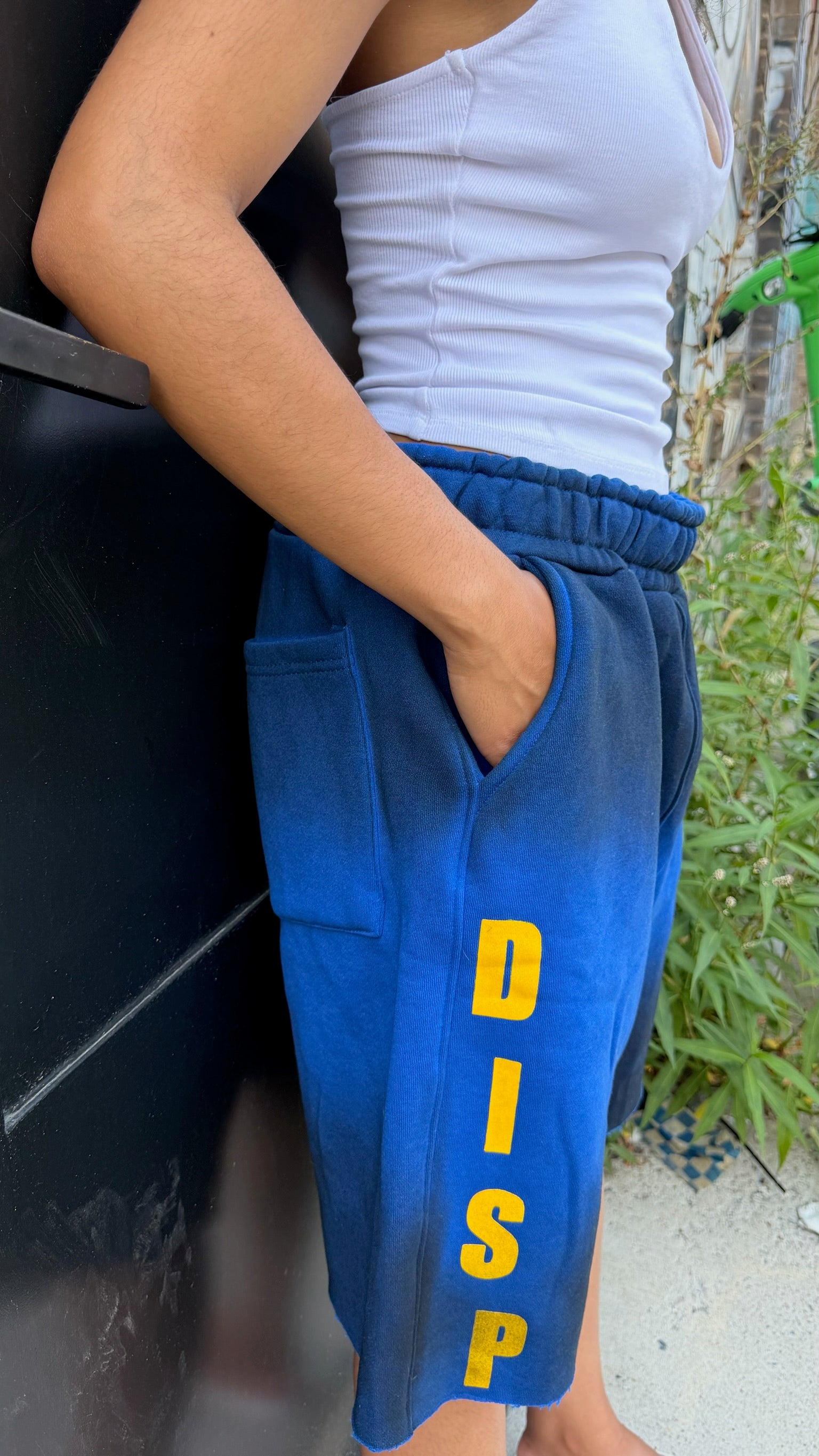 Disparate Color element shorts