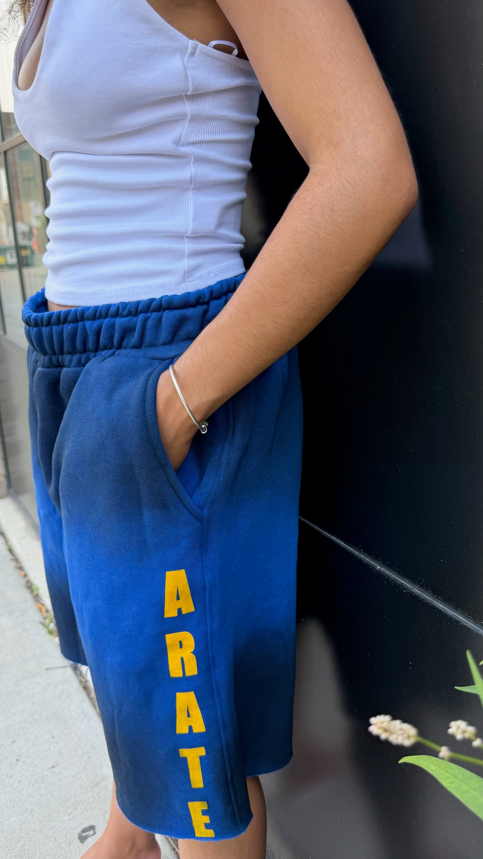 Disparate Color element shorts